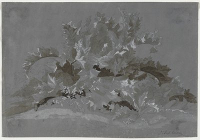 Studium chwastów, 1800-1850. autorstwa Jean Antoine Linck