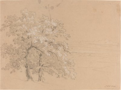 Nasłonecznione drzewa przed panoramicznym krajobrazem autorstwa Jean Antoine Linck
