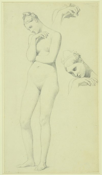 Studia nad postacią Stratonice, ok. 1834-40 (ołówek na papierze) autorstwa Jean Auguste Dominique Ingres