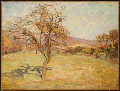 Krajobraz, 1890 autorstwa Jean Baptiste Armand Guillaumin