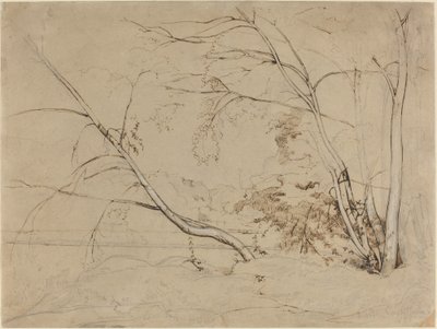 Kępka drzew w Civita Castellana autorstwa Jean Baptiste Camille Corot