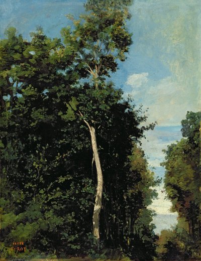 Las na Cote de Grace w Honfleur (olej na płótnie ułożony na płycie) autorstwa Jean Baptiste Camille Corot