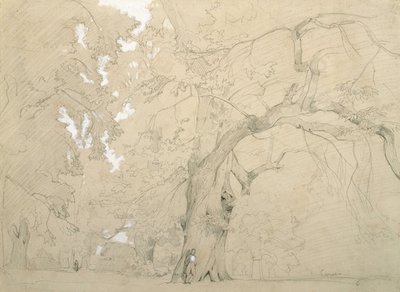 Młody mężczyzna przed wielkim dębem autorstwa Jean Baptiste Camille Corot