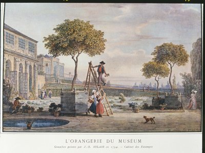 Oranżeria w Muzeum w Paryżu w 1794 r. autorstwa Jean Baptiste Hilair