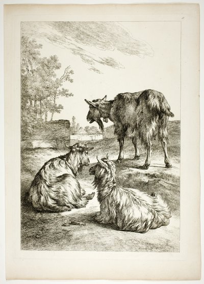 Płyta osiemnasta z 38 z Oeuvres de J. B. Huet autorstwa Jean Baptiste Huet