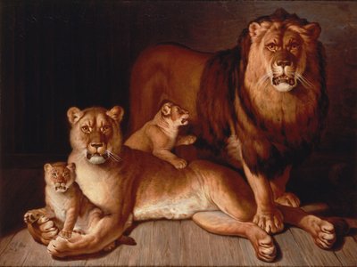 Lwia duma autorstwa Jean Baptiste Huet