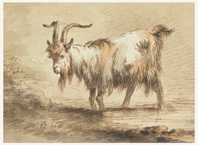 Studium kozy autorstwa Jean Baptiste Huet