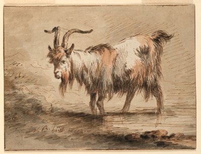Rysunek, Studium kozy, 1772 r. autorstwa Jean Baptiste Huet