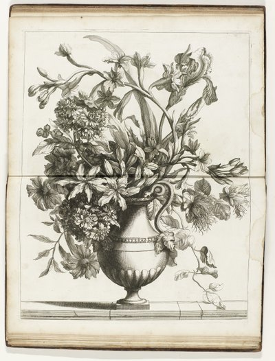 Bloemenvaas Księgi kilku Vazes of Flowers wykonane po Natural (tytuł serii) autorstwa Jean Baptiste Monnoyer