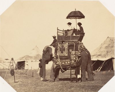 [Lady Canning], 1858-61. autorstwa Jean Baptiste Oscar Mallitte