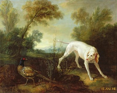 Blanche, suka królewskiego stada myśliwych autorstwa Jean Baptiste Oudry