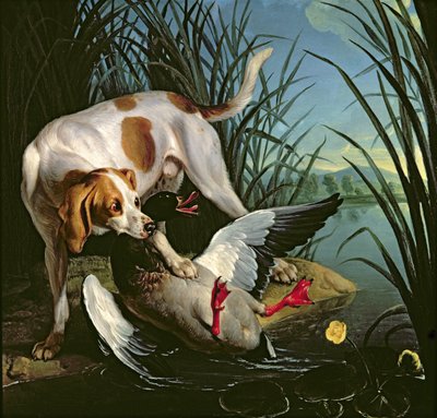 Pies z dziką kaczką autorstwa Jean Baptiste Oudry