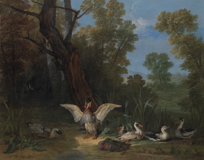 Kaczki odpoczywające w słońcu, 1753. autorstwa Jean Baptiste Oudry