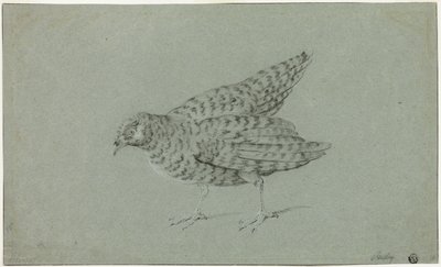 Kuropatwa autorstwa Jean Baptiste Oudry