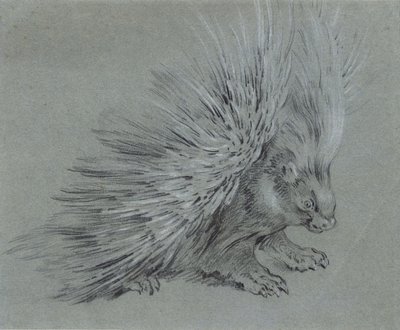 Jeżozwierz autorstwa Jean Baptiste Oudry