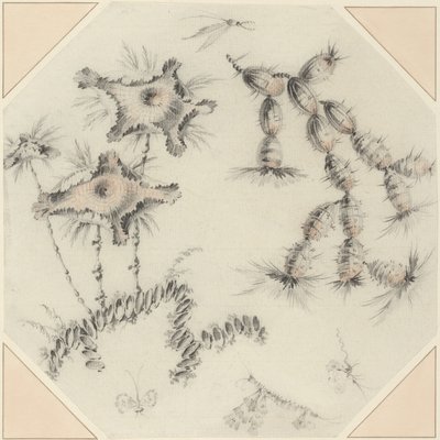 Kwiaty bambusa i kaktus (czarna i czerwona kreda na papierze) autorstwa Jean Baptiste Pillement
