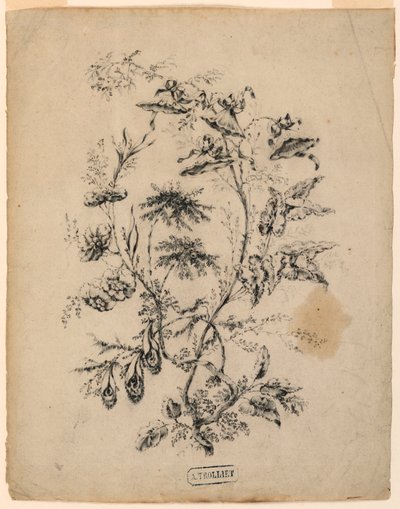 Rysunek, Konar fantastycznego drzewa, 1775-1800 autorstwa Jean Baptiste Pillement