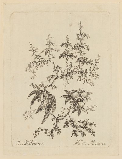 Fantastyczny kwiat autorstwa Jean Baptiste Pillement
