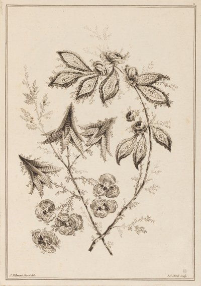Kwiat Koni autorstwa Jean Baptiste Pillement