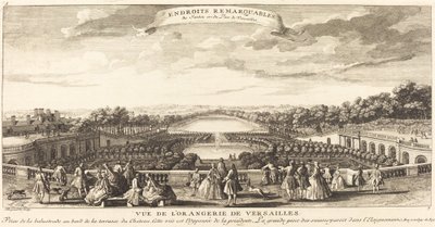 Widok Oranżerii Wersalskiej autorstwa Jean Baptiste Rigaud