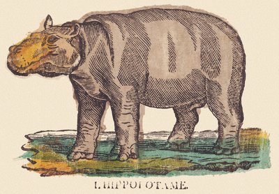 Hipopotam, ok. 1840-1852 (litografia) autorstwa Jean Baptiste Thiebault