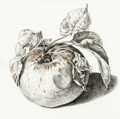 Apple autorstwa Jean Bernard