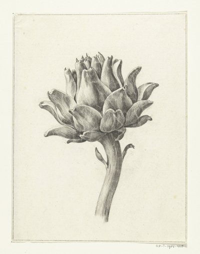 Karczoch autorstwa Jean Bernard
