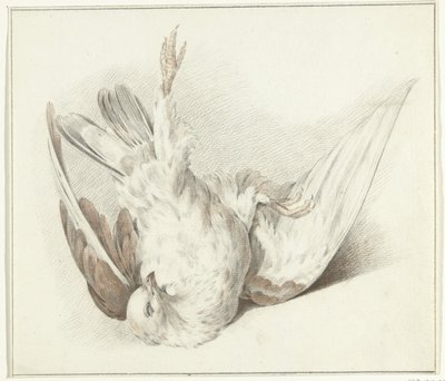 martwy gołąb autorstwa Jean Bernard