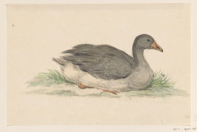 Kaczka, prawda autorstwa Jean Bernard