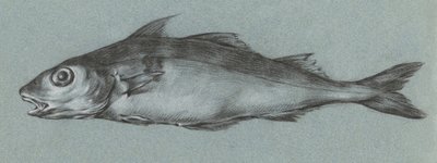 Fish Green (1775–1833) autorstwa Jean Bernard