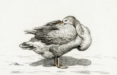 Gęś (1816) autorstwa Jean Bernard