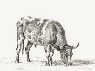 Byk na pastwisku autorstwa Jean Bernard