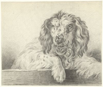 Pies autorstwa Jean Bernard
