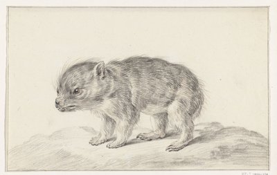 Młody niedźwiedź (?) autorstwa Jean Bernard