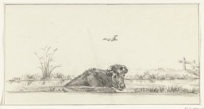 Krowa w wodzie autorstwa Jean Bernard