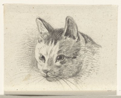 Głowa kota autorstwa Jean Bernard