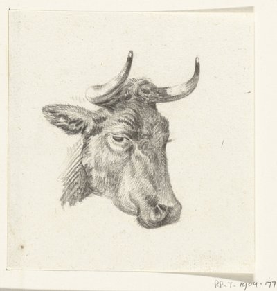 Głowa krowy autorstwa Jean Bernard