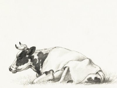 „Leżąca krowa” autorstwa Jeana Bernarda autorstwa Jean Bernard