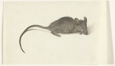 Mysz, prawy autorstwa Jean Bernard