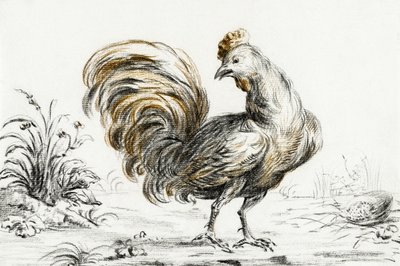 Harmonogram autorstwa Jean Bernard