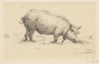 Stojąca świnia-woda, po prawej, w trawie autorstwa Jean Bernard