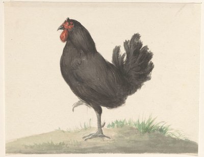 Stojący czarny kurczak autorstwa Jean Bernard
