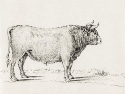 Stój Byku autorstwa Jean Bernard