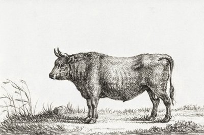 Stój Byku autorstwa Jean Bernard