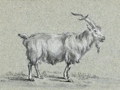 „Stojąca koza” autorstwa Jeana Bernarda autorstwa Jean Bernard