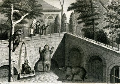 Jaskinia niedźwiedzia w zoo autorstwa Jean Charles Werner