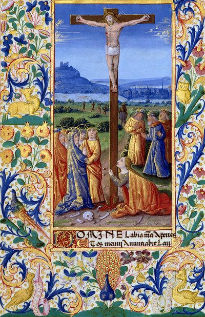 Pani Lat. Q.v.I.126 f.84v Ukrzyżowanie, z 