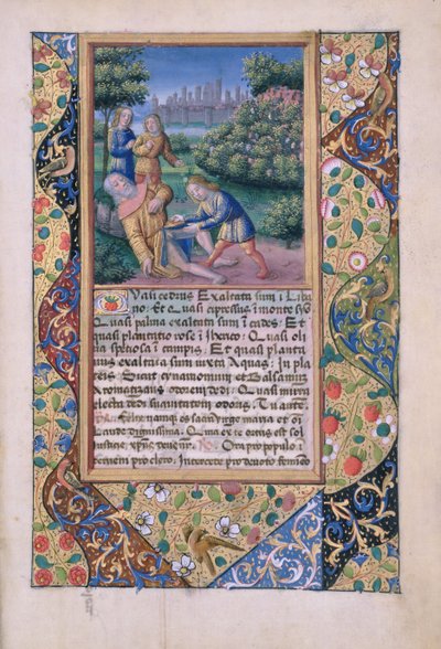 Pani Lat. Q.v.I.126 fol.17 Pijaństwo Noego, z Księgi Godzin Ludwika dOrleans, 1490 autorstwa Jean Colombe