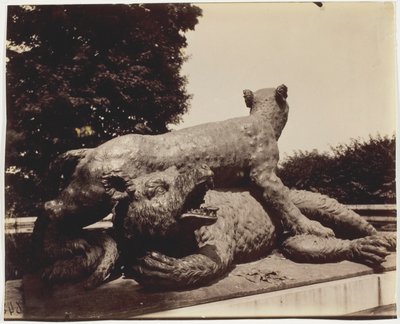 Wersal, Fontaine du Point du Jour, (Tigre Terrassant un Ours by Houzeau) autorstwa Jean Eugène Auguste Atget