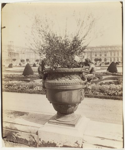 Wersal, wazon marki Ballin autorstwa Jean Eugène Auguste Atget
